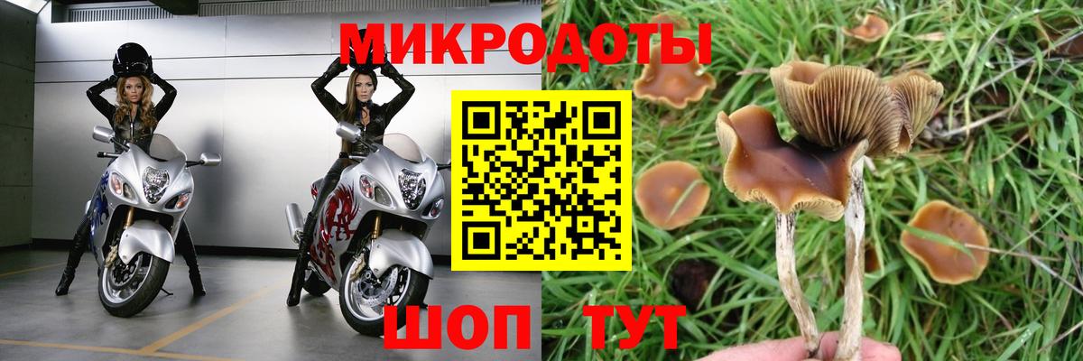 Нерюнгри  Кодеин  COCAIN  Вход с VPN  Вейп ТГК  MDMA  МЕФ кристаллы  ГАШИШ  Гашиш  Мефедрон 